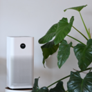The Role Your Air Conditioner Plays in Indoor Air Quality
