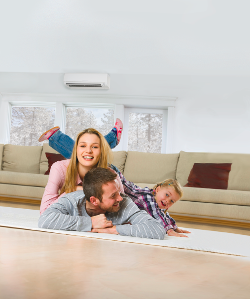 Mitsubishi Ductless Heating and Cooling Ann Arbor
